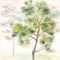 Woodland Trees III Poster Print by Cynthia Coulter - Item # VARPDXRB11277CC